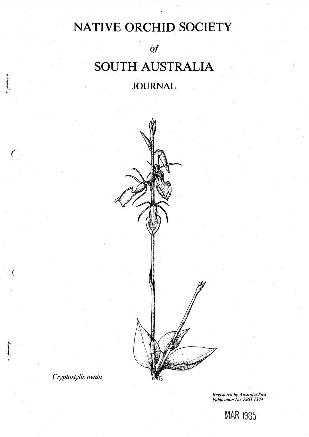 Native Orchid Society South Australia Mar 1985