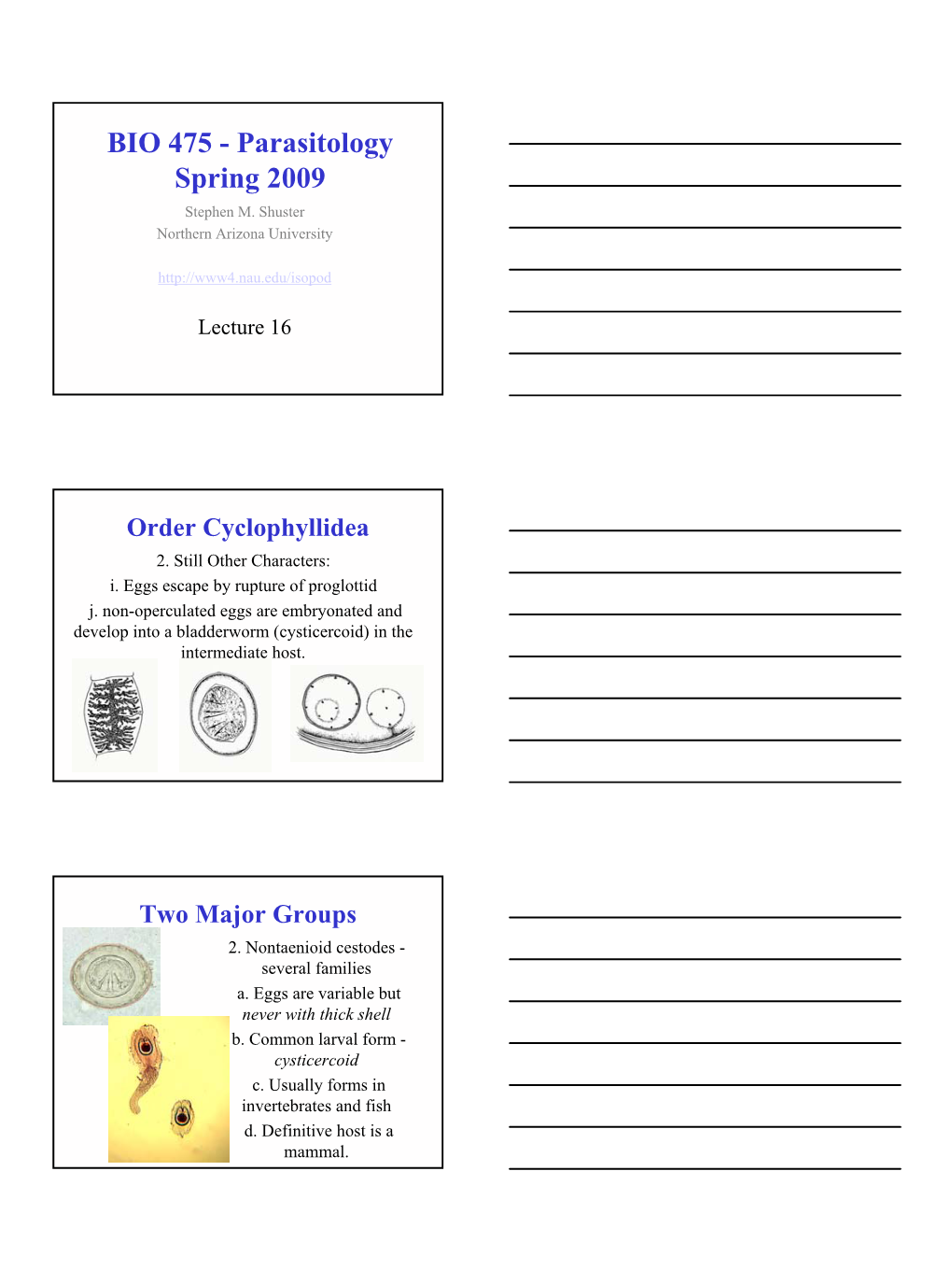 BIO 475 - Parasitology Spring 2009 Stephen M