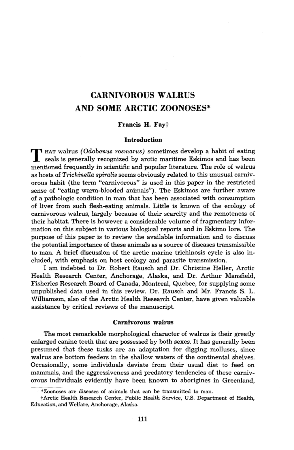 Carnivorous Walrus and Some Arctic Zoonoses*