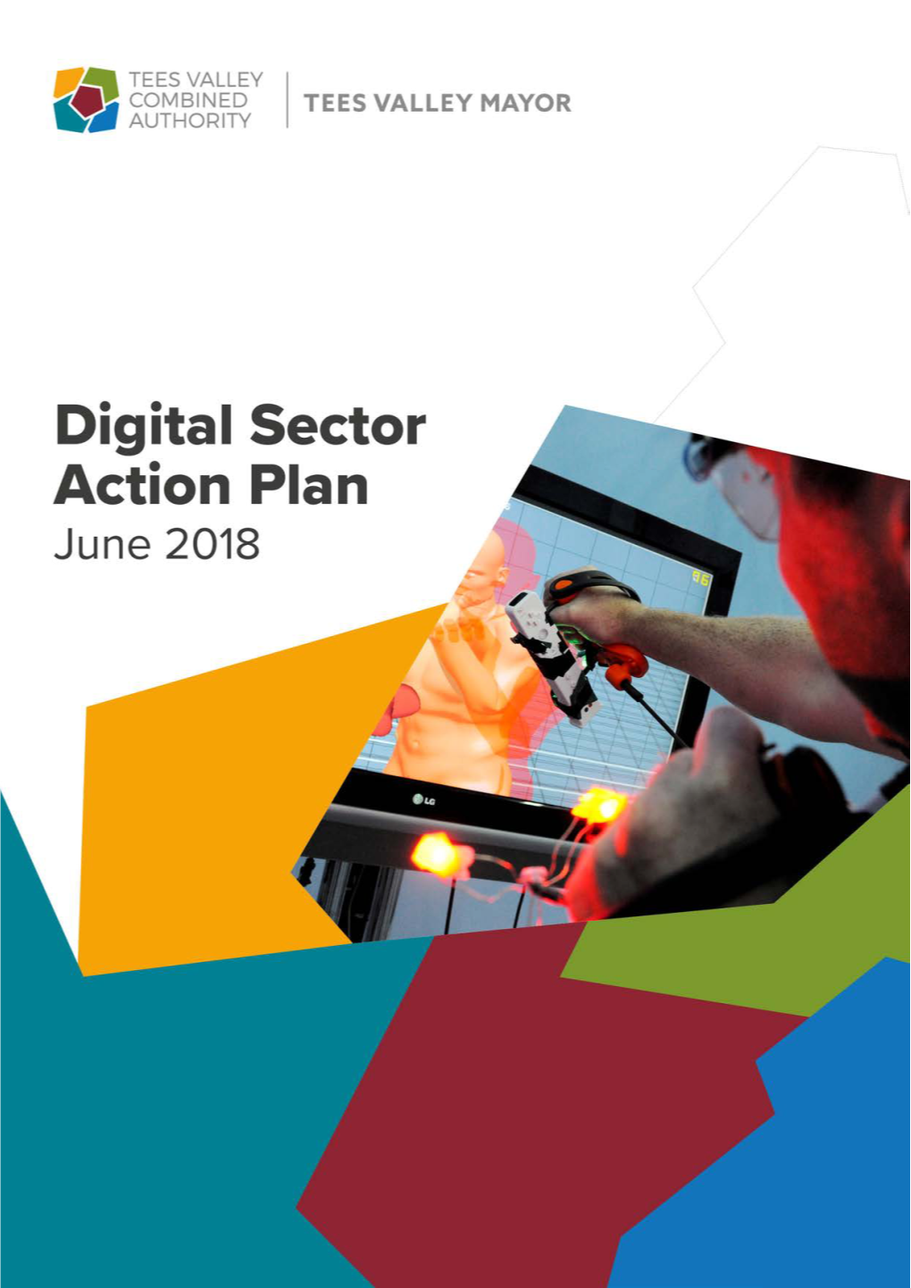 Digital Sector Plan