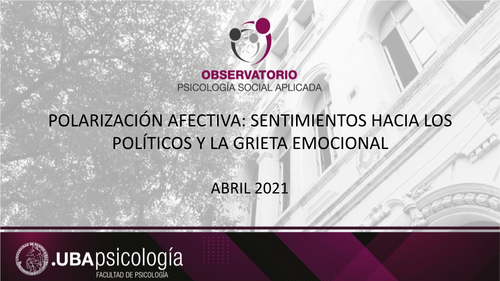 Polarización Afectiva: Sentimientos Hacia Los Políticos Y La Grieta Emocional