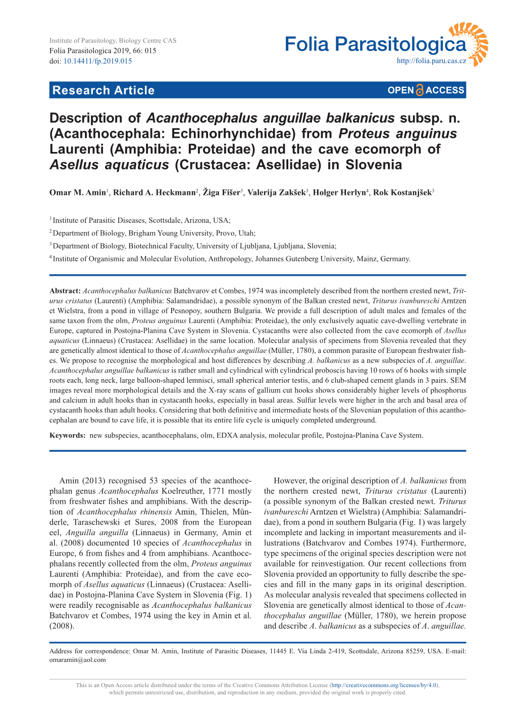 Description of Acanthocephalus Anguillae Balkanicus Subsp