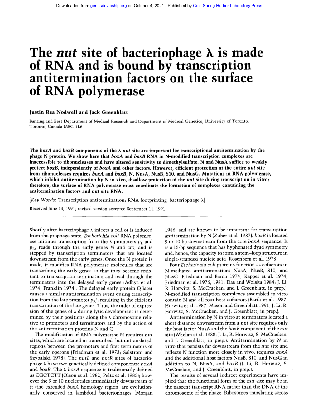 The Nut Site of Bacteriophage K Is Made of R.NA and Is Bound by Transcripuon Anutermination Factors on the Surface of RNA Polymerase