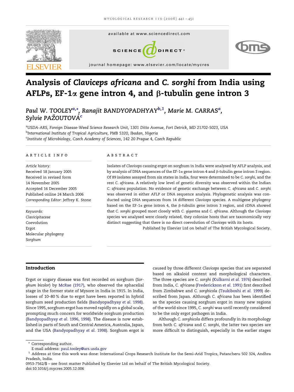Analysis of Claviceps Africana and C. Sorghi from India Using Aflps, EF-1A Gene Intron 4, and B-Tubulin Gene Intron 3