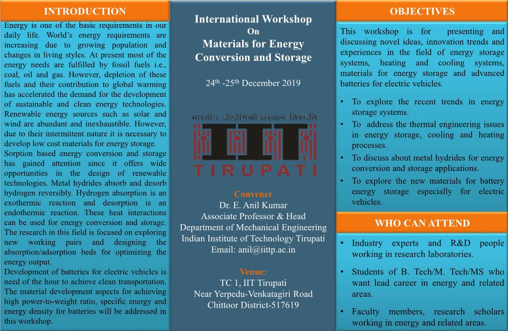 International Workshop Materials for Energy Conversion and Storage
