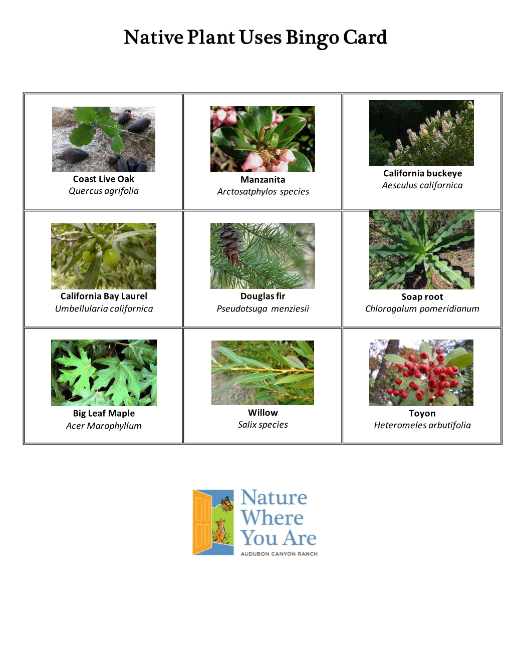 Native Plant Uses Bingo Card