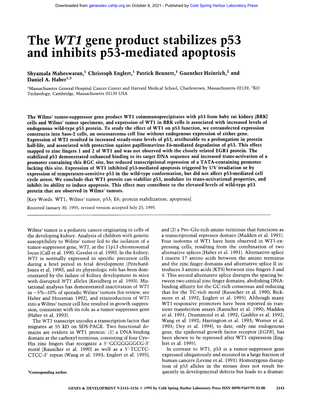 The WT1 Gene Product Stabilizes P53 and Inhibits P53-Mediated Apoptosis