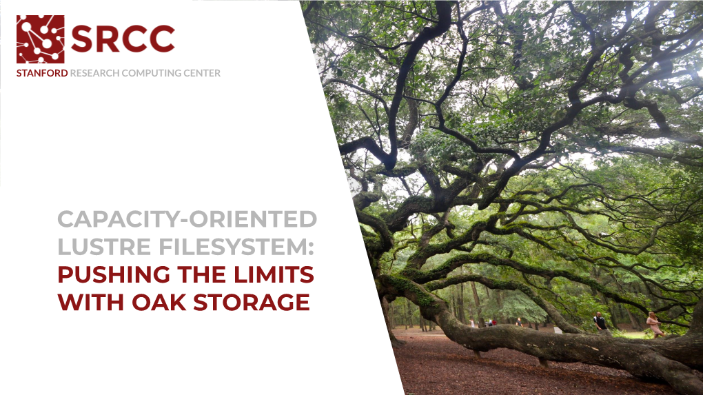 Capacity-Oriented Lustre Filesystem: Pushing the Limits with Oak Storage Oak Storage?