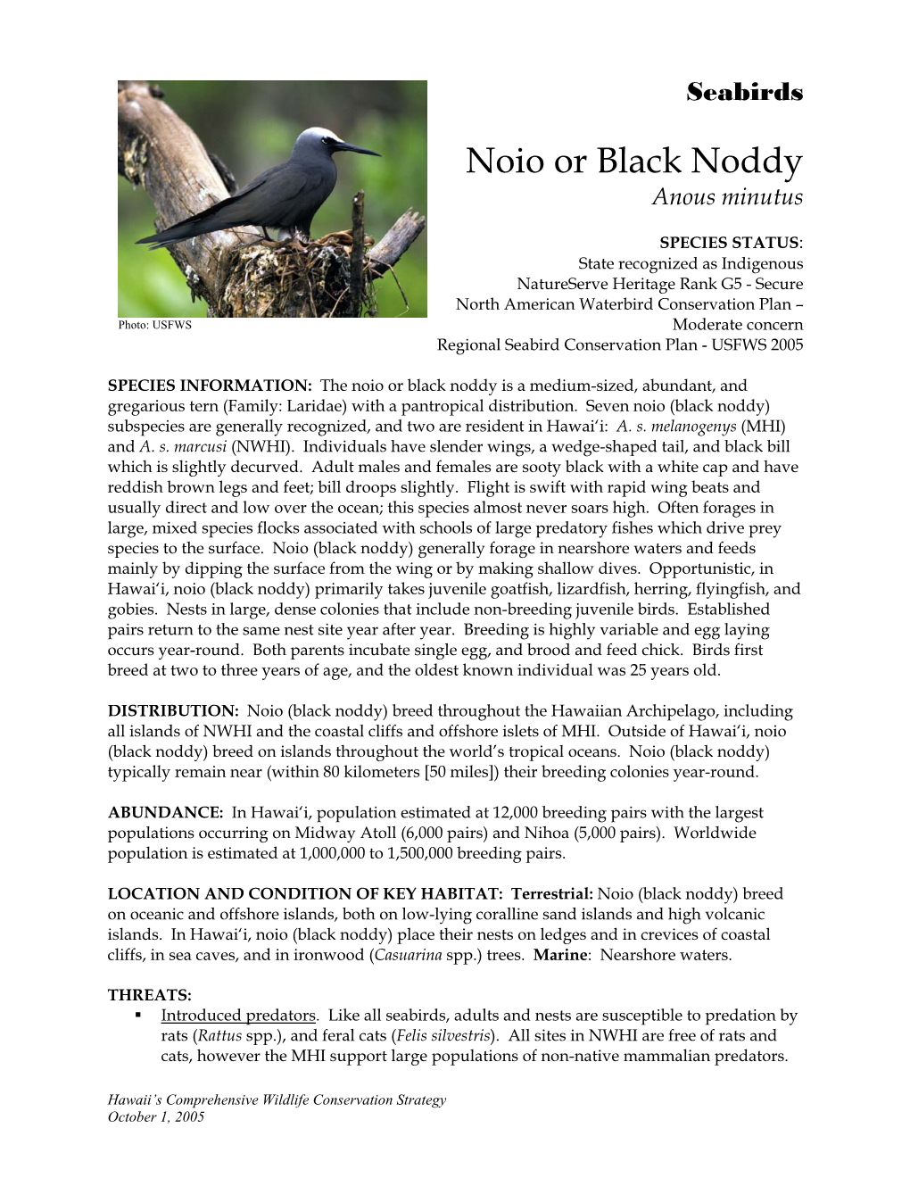 Noio Or Black Noddy Anous Minutus