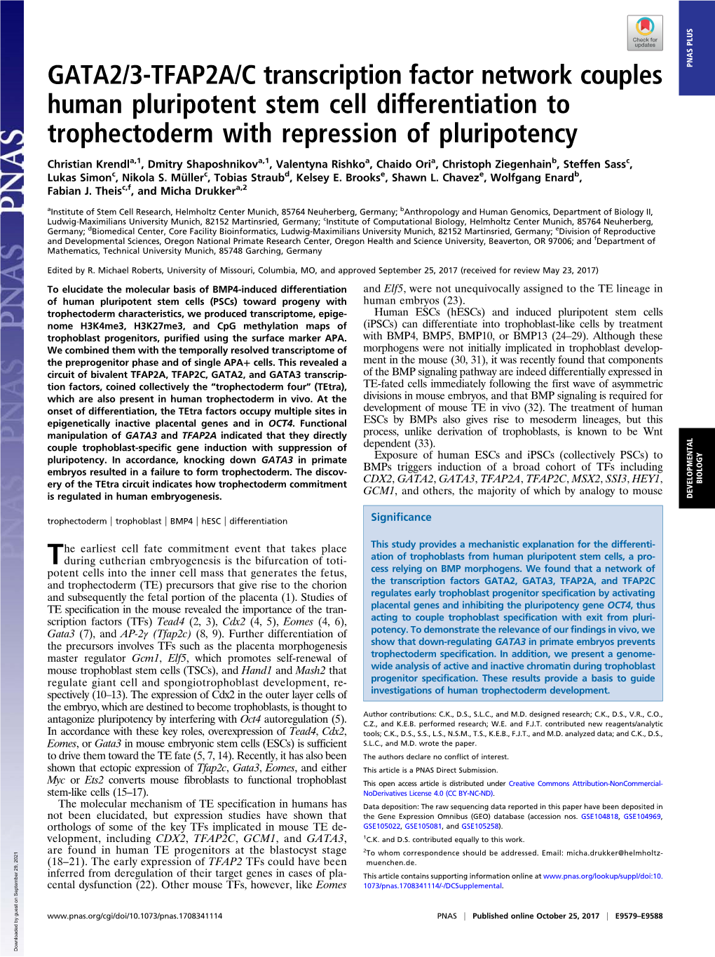 GATA2/3-TFAP2A/C Transcription Factor Network Couples Human