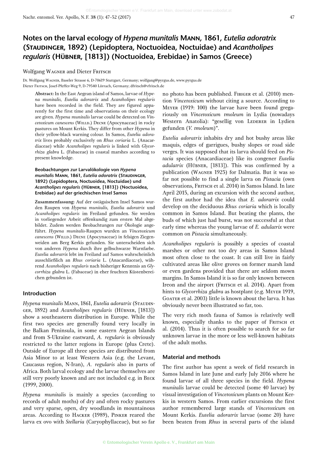 Notes on the Larval Ecology of Hypena Munitalis Mann, 1861