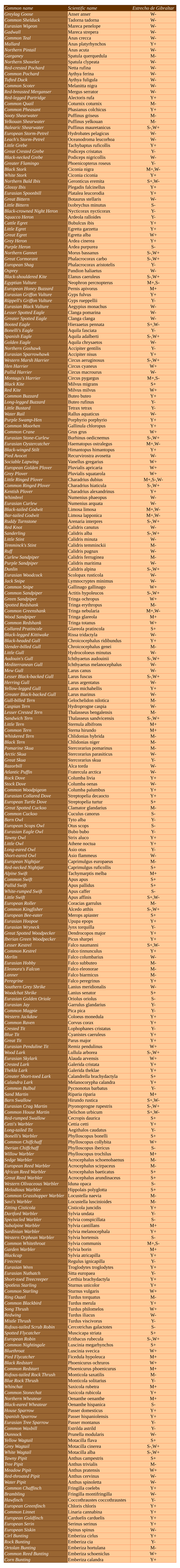 Common Name Scientific Name Estrecho De Gibraltar Greylag Goose Anser Anser W- Common Shelduck Tadorna Tadorna W- Eurasian Wigeo