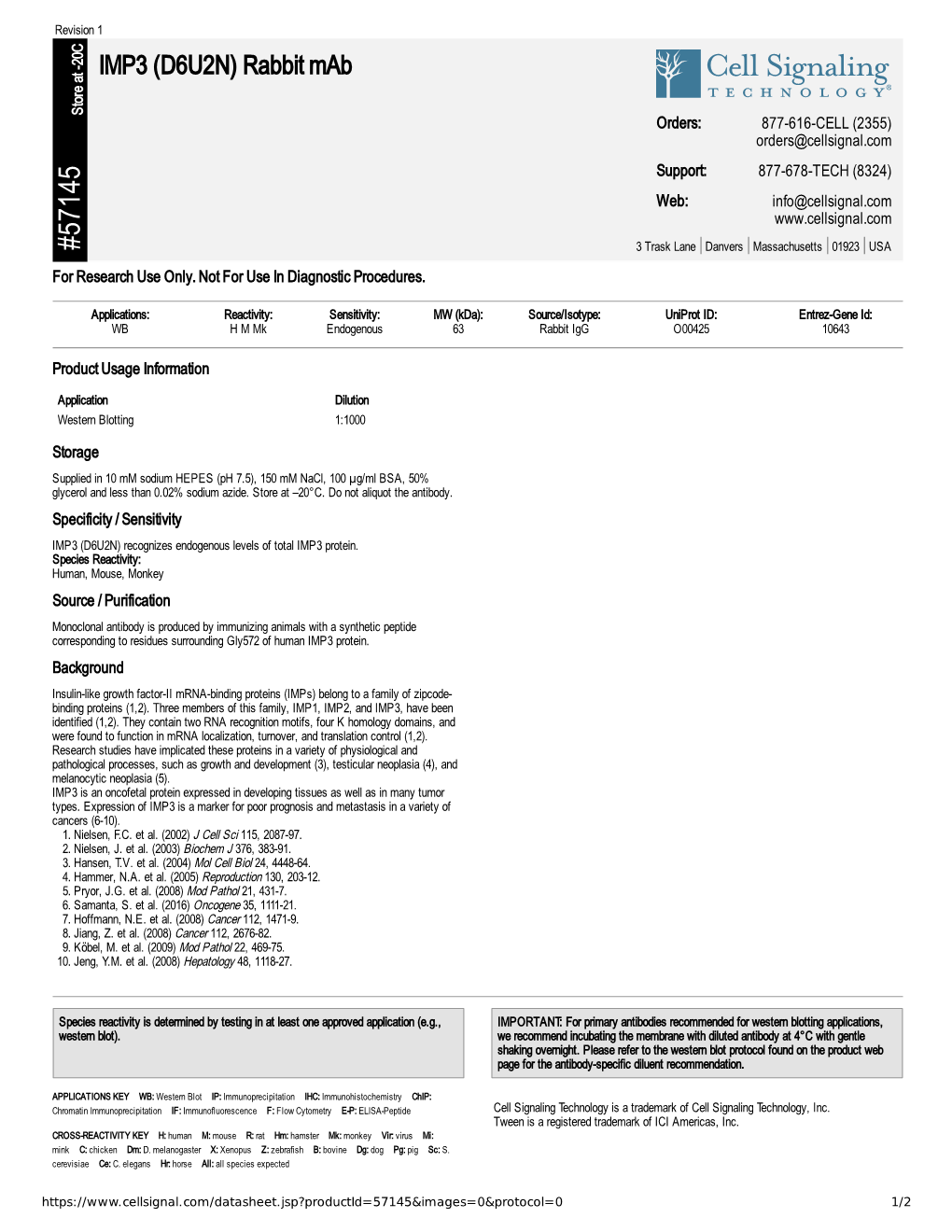 IMP3 (D6U2N) Rabbit Mab A