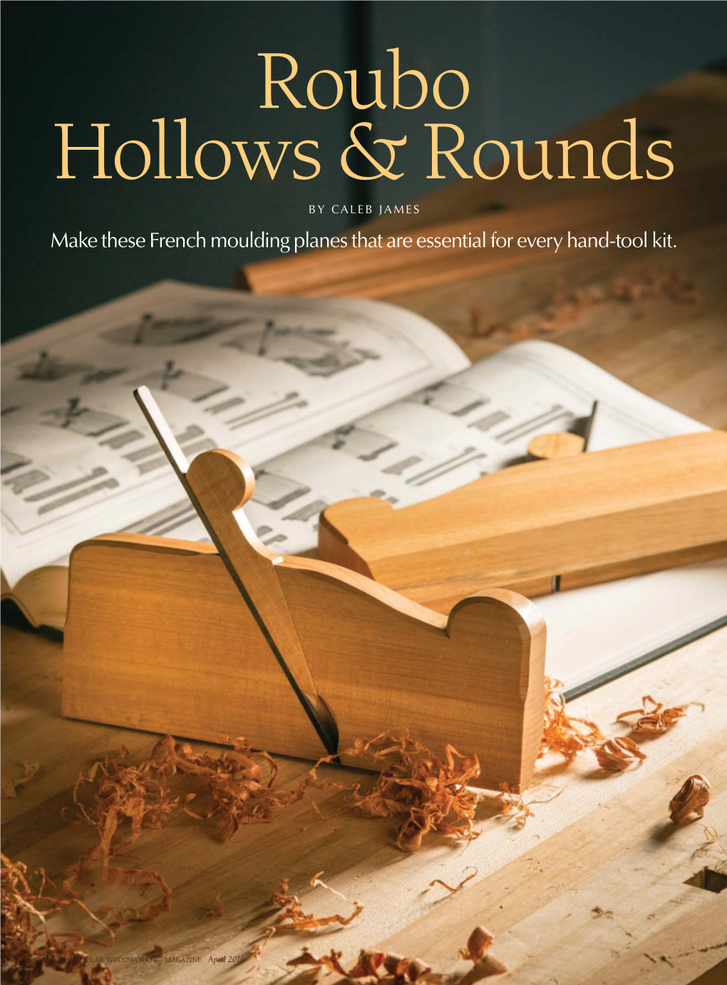 Roubo Hollows & Rounds