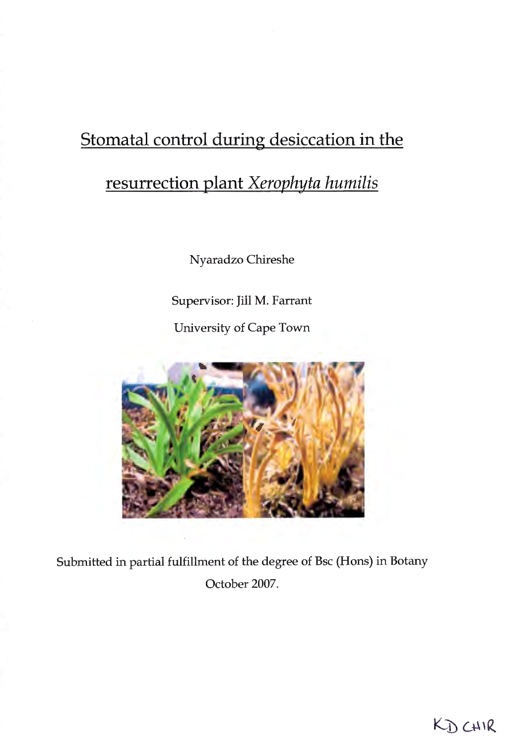 Stomatal Control During Desiccation in the Resurrection Plant Xerophyta Humilis