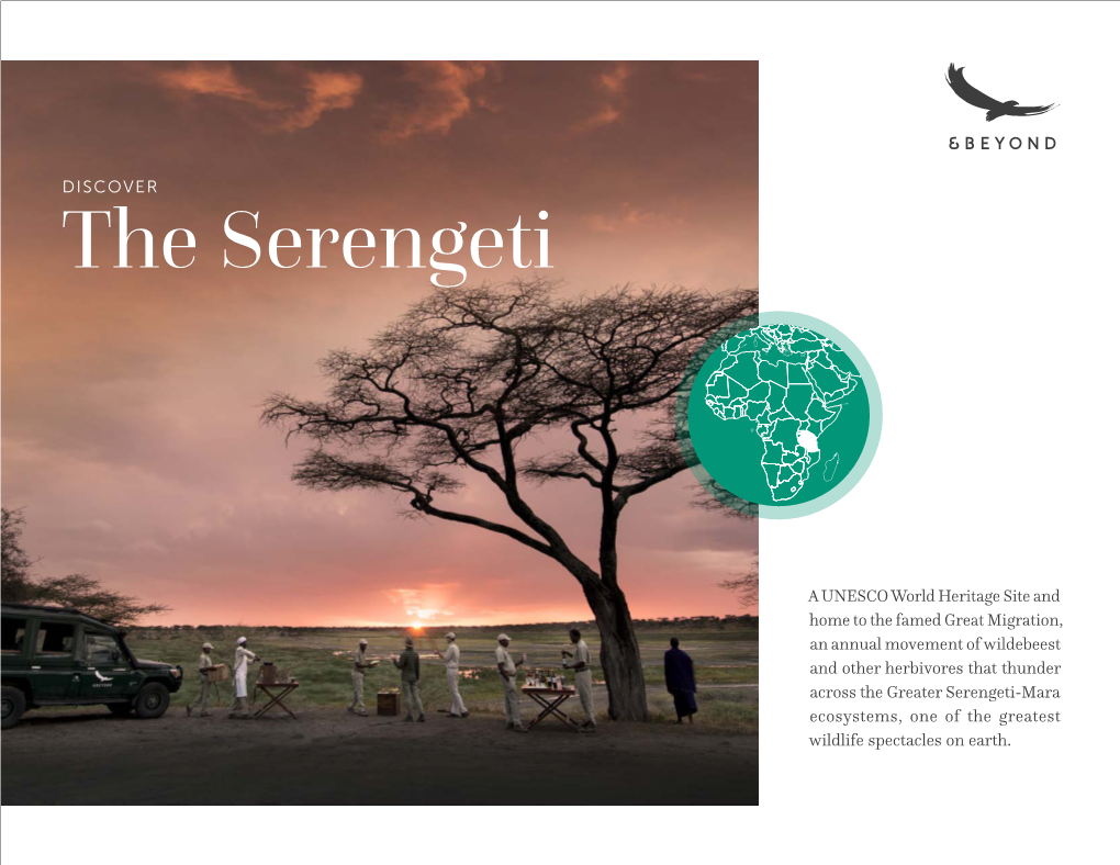 The Serengeti