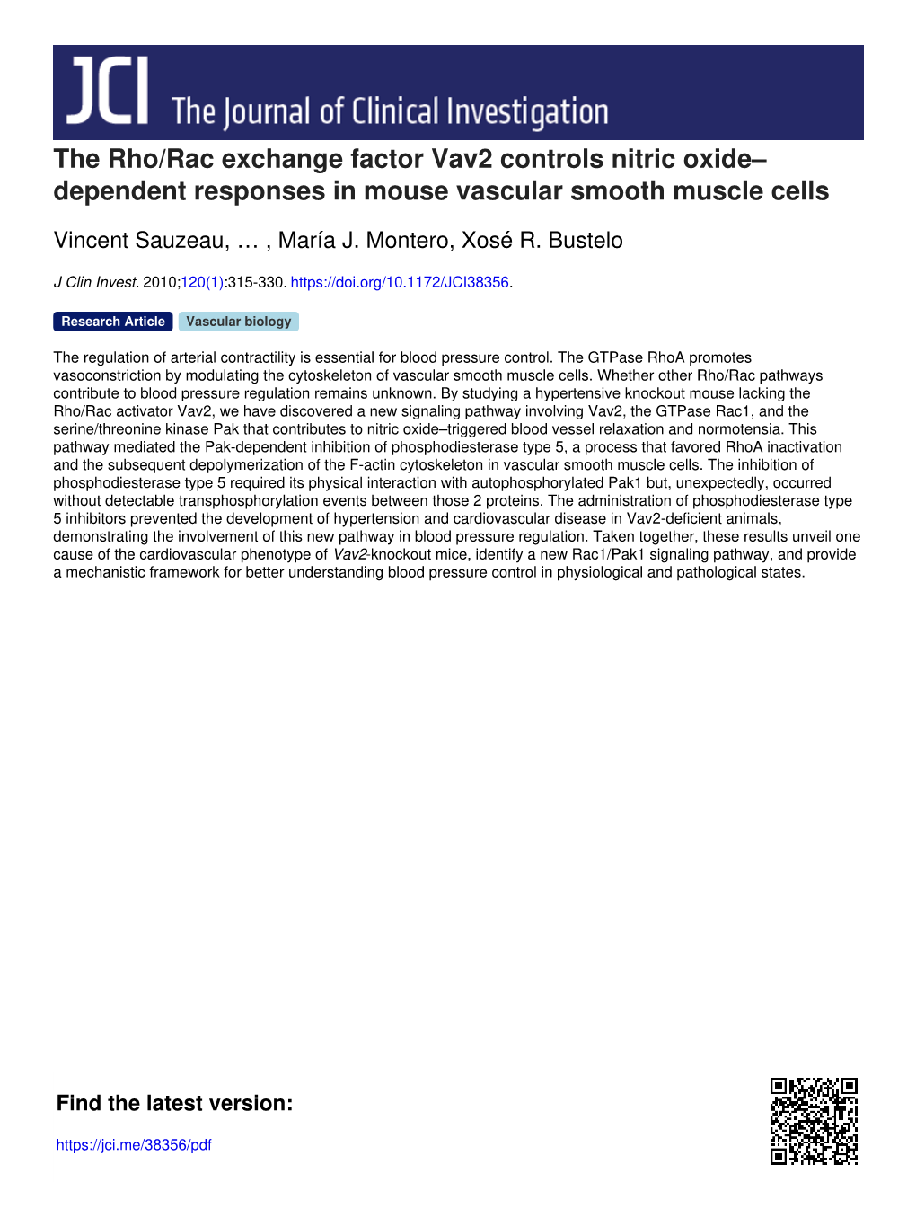 The Rho/Rac Exchange Factor Vav2 Controls Nitric Oxide– Dependent Responses in Mouse Vascular Smooth Muscle Cells