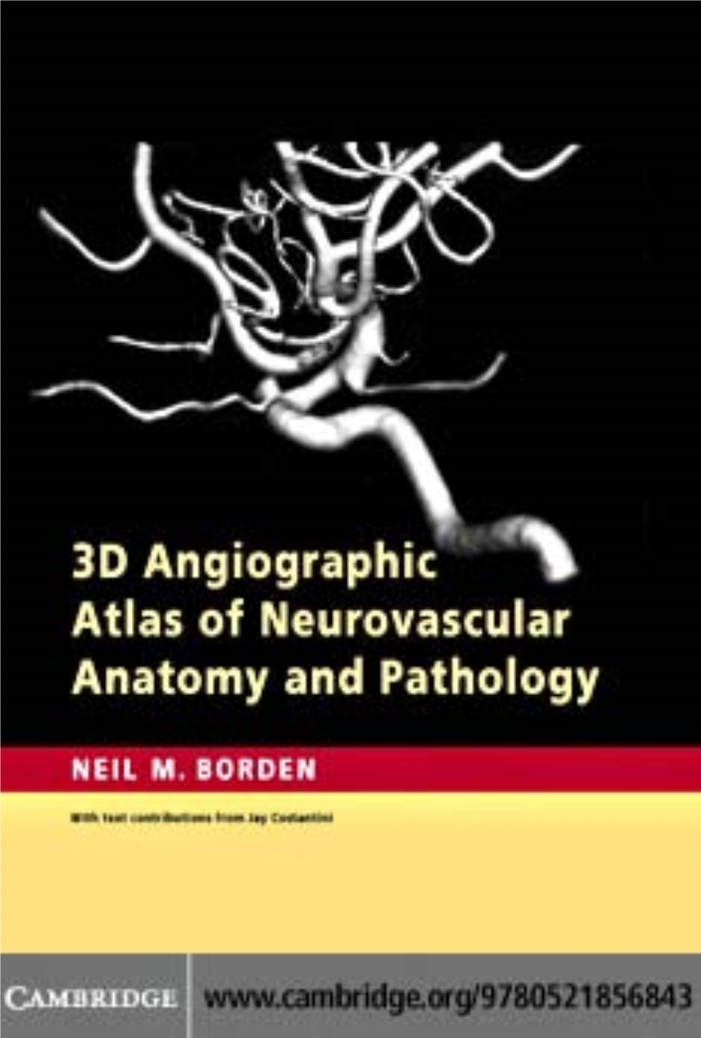 3D Angiographic Atlas of Neurovascular Anatomy
