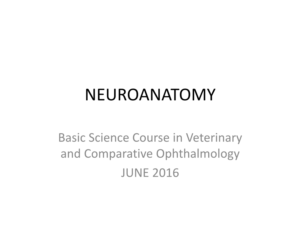 Neuroanatomy