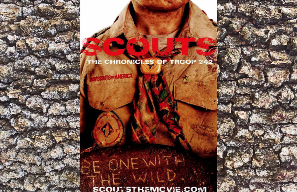 Scouts, the Chronicles of Troop 242 Is a PG13 Coming of Age Comedy/Action Film About a Struggling Black Boy Scout Troop in 3Rd Ward Houston, Texas