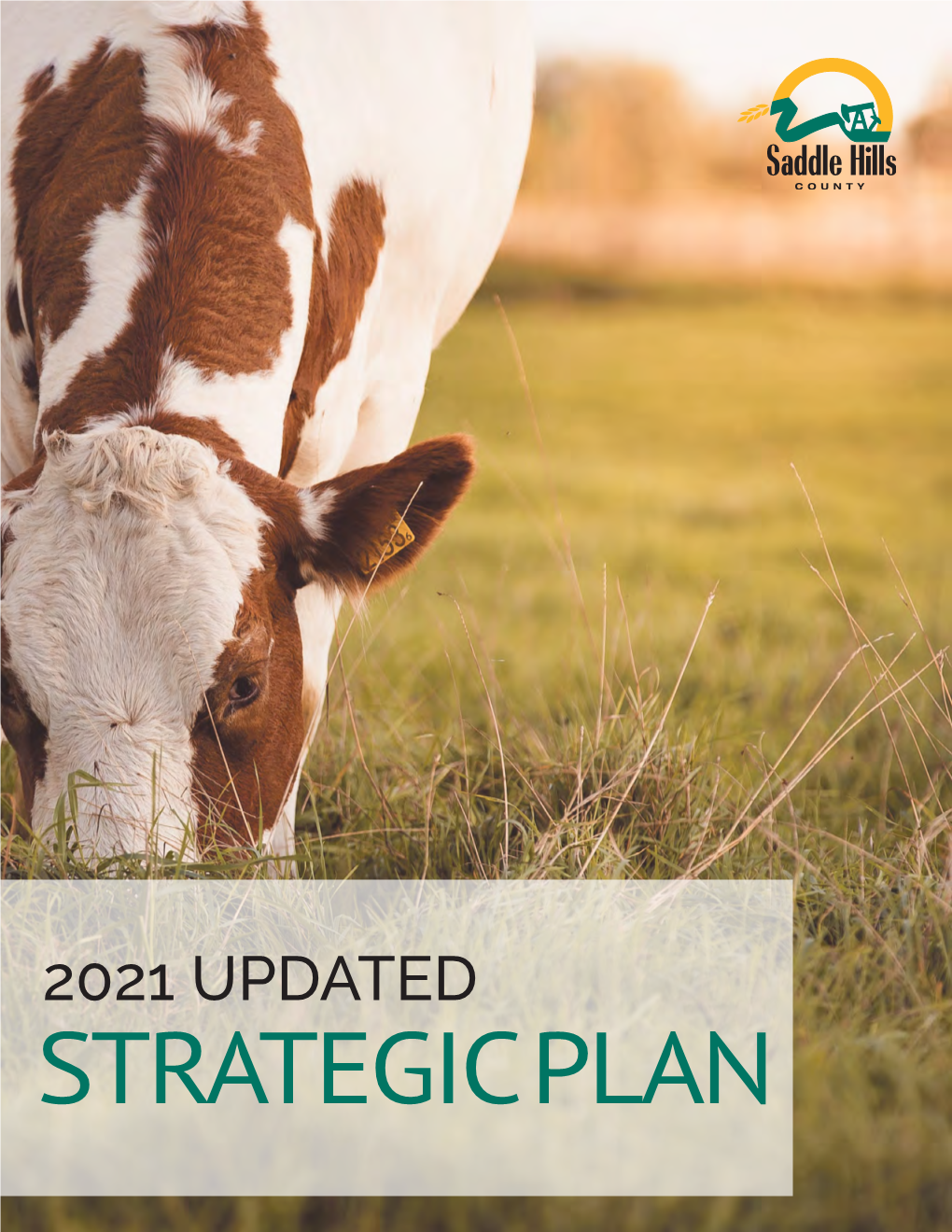 Strategic Plan Inside