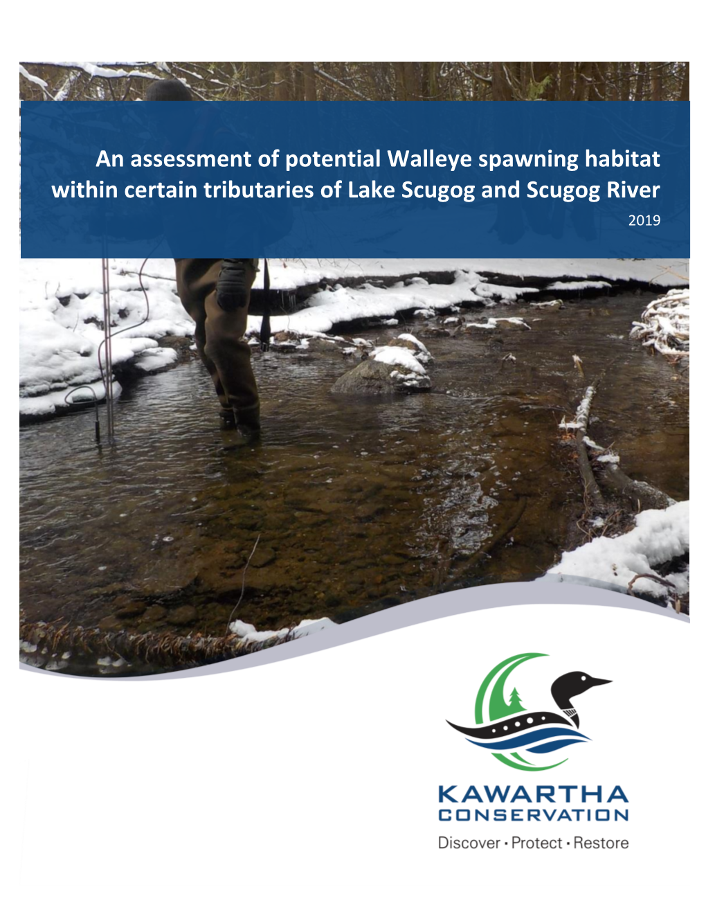 An Assessment of Potential Walleye Spawning Habitat Within Certain Tributaries of Lake Scugog and Scugog River 2019