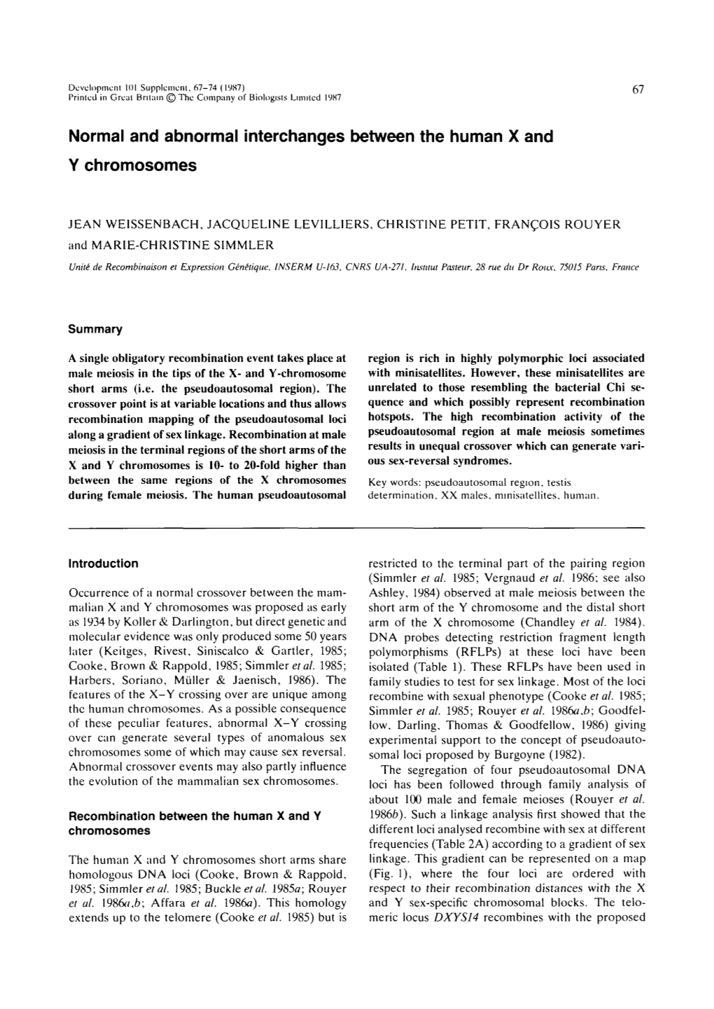 Normal and Abnormal Interchanges Between the Human X and Y Chromosomes