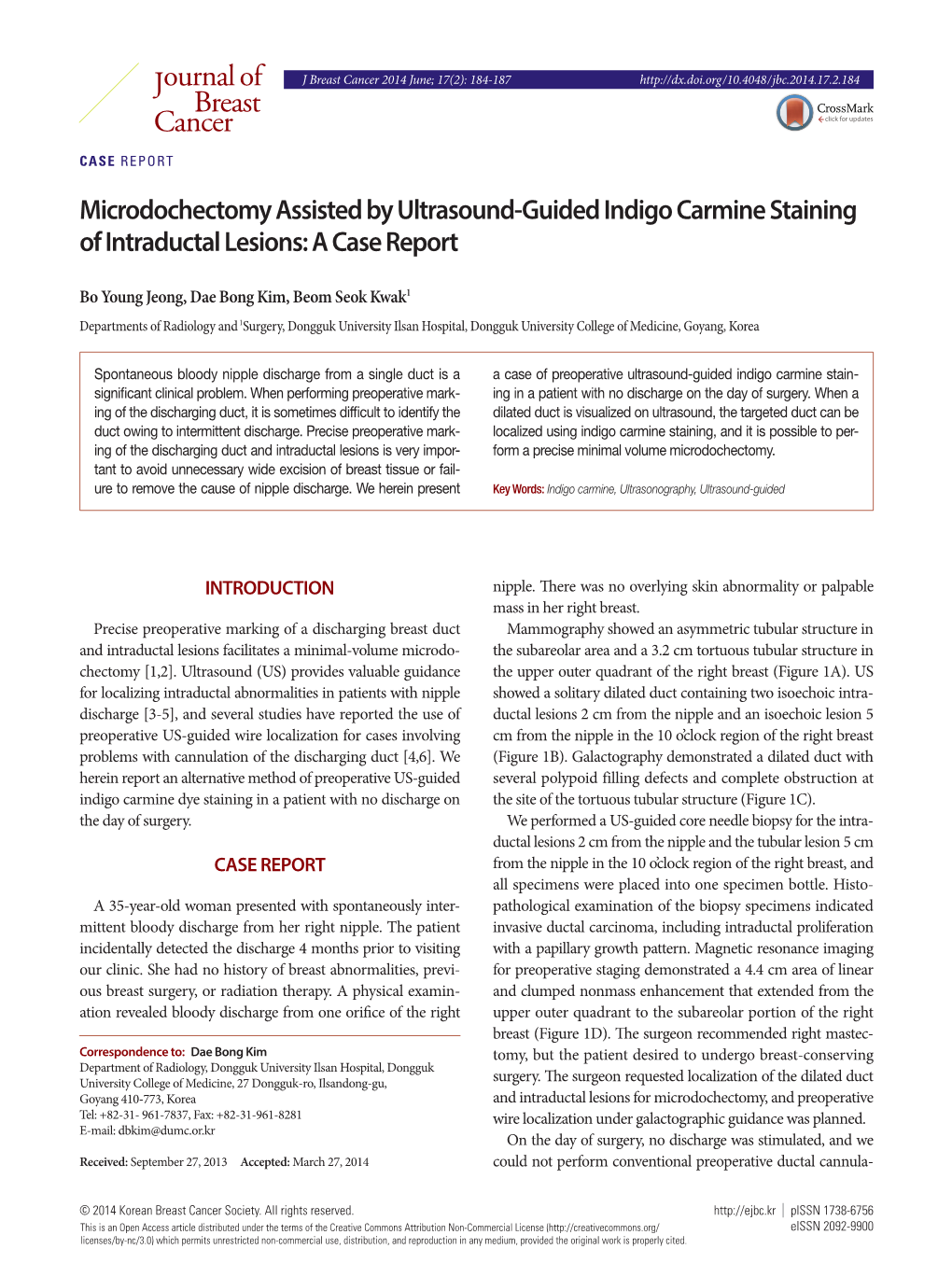 Microdochectomy Assisted by Ultrasound-Guided Indigo Carmine Staining of Intraductal Lesions: a Case Report