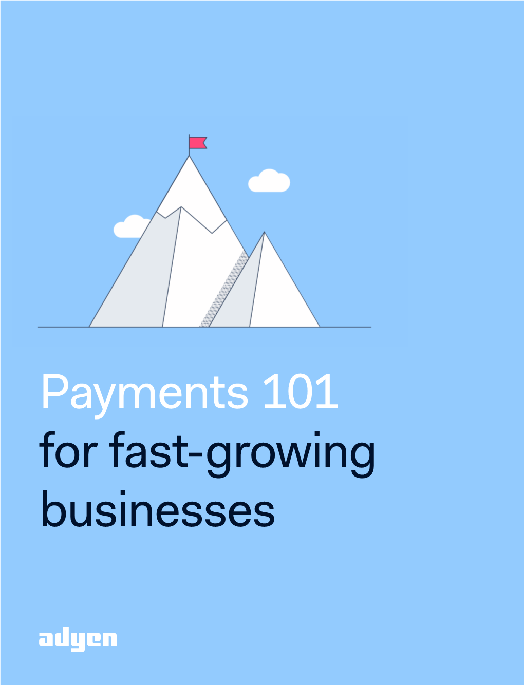 Payments 101 for Fast-Growing Businesses 1
