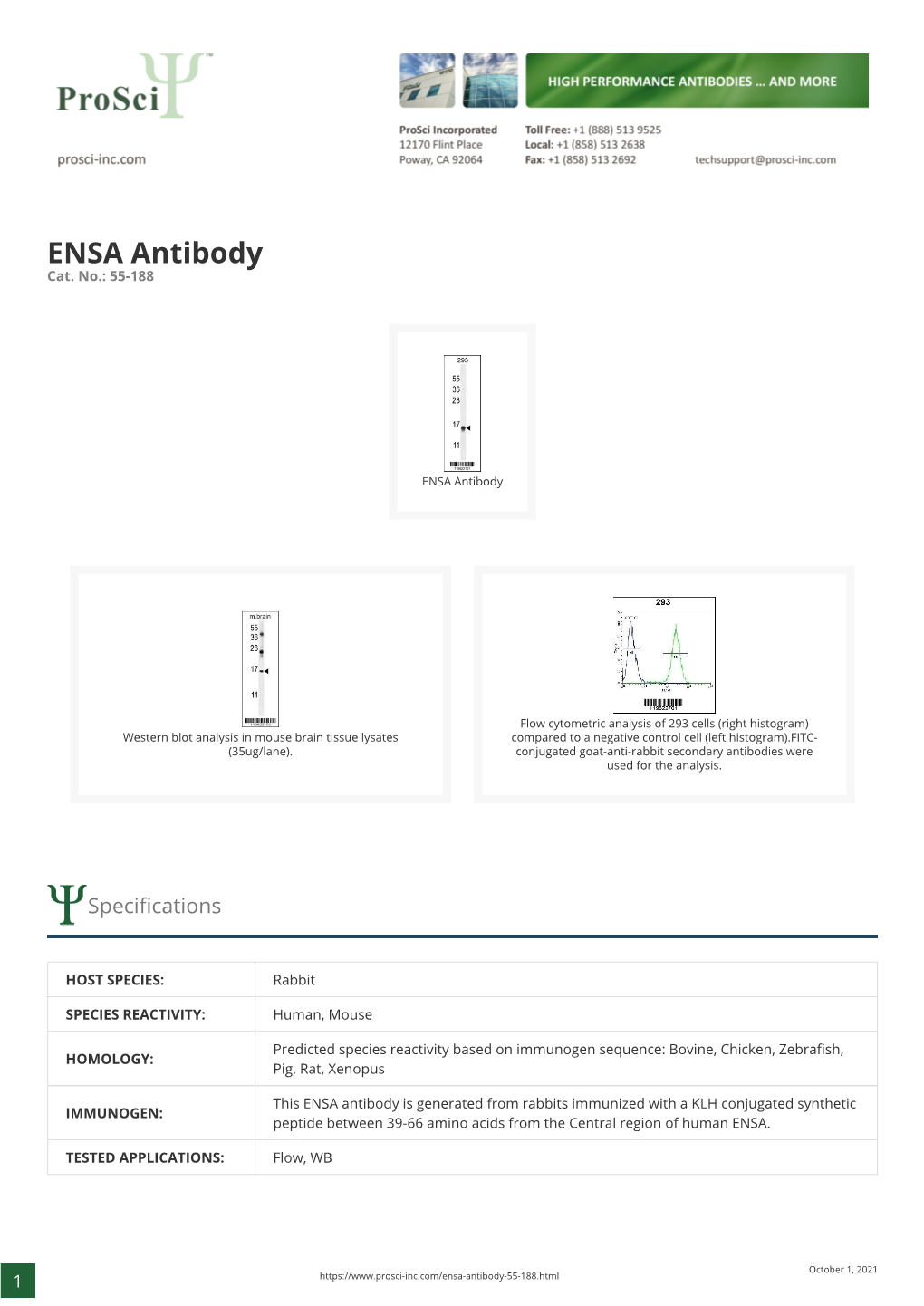 ENSA Antibody Cat