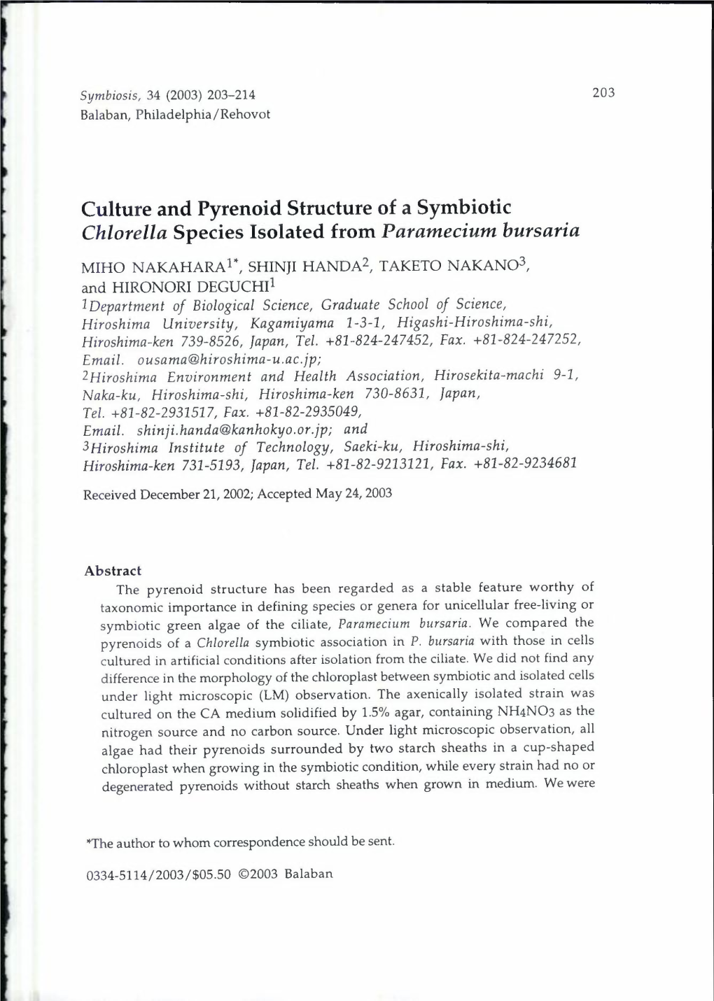 Culture and Pyrenoid Structure of a Symbiotic Chlorella Species Isolated from Paramecium Bursaria