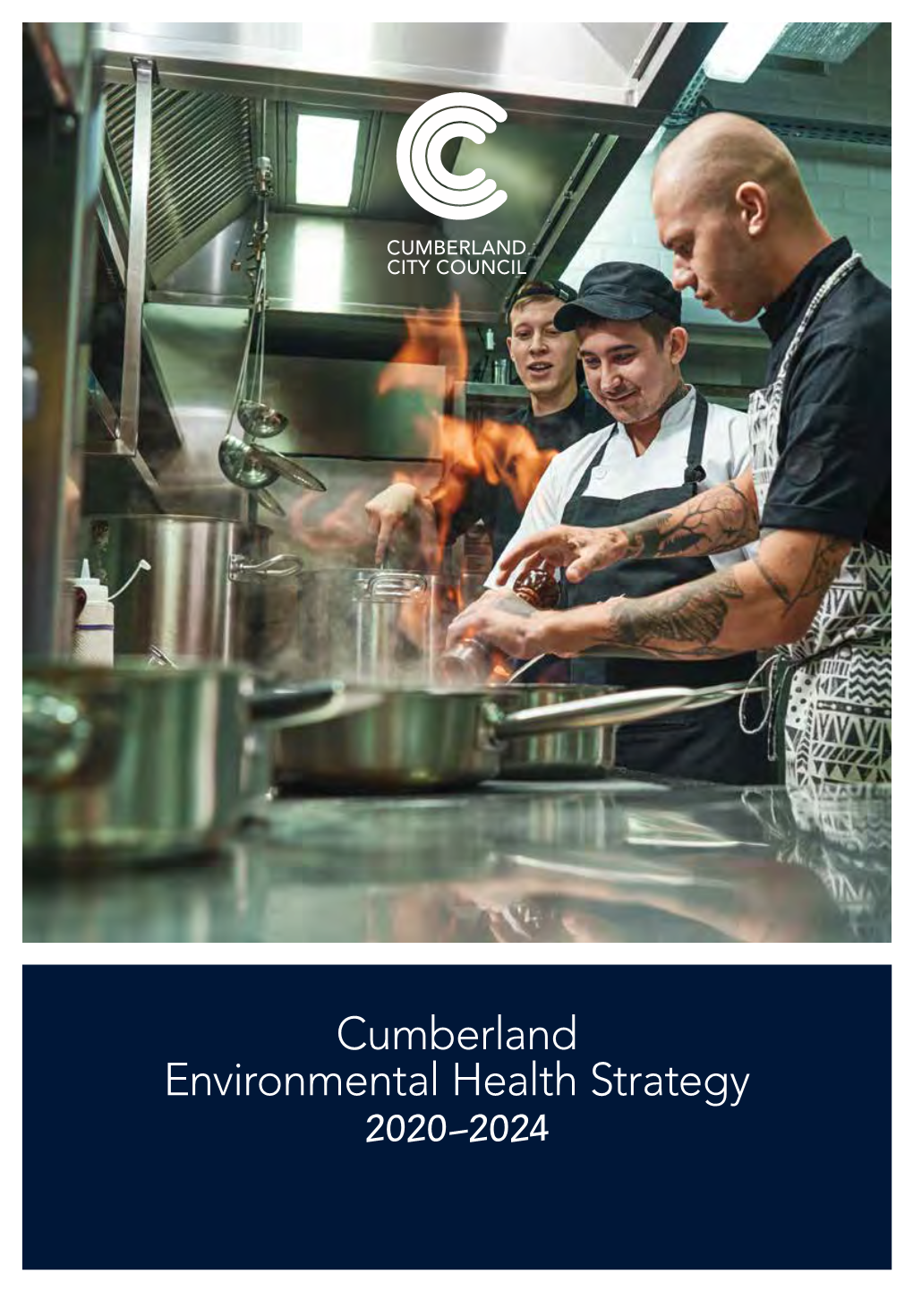 Cumberland Environmental Health Strategy 2020-2024