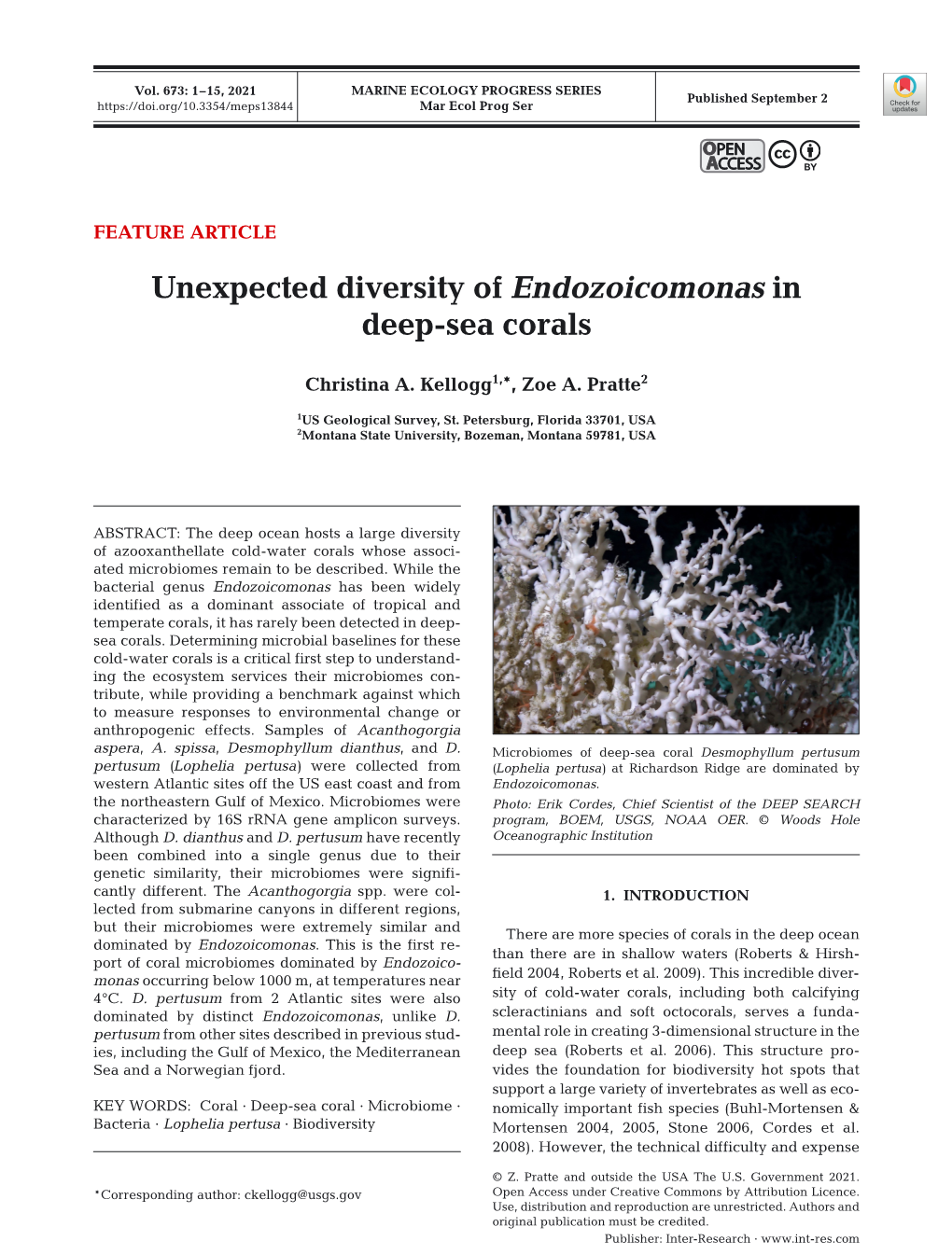 Unexpected Diversity of Endozoicomonas in Deep-Sea Corals