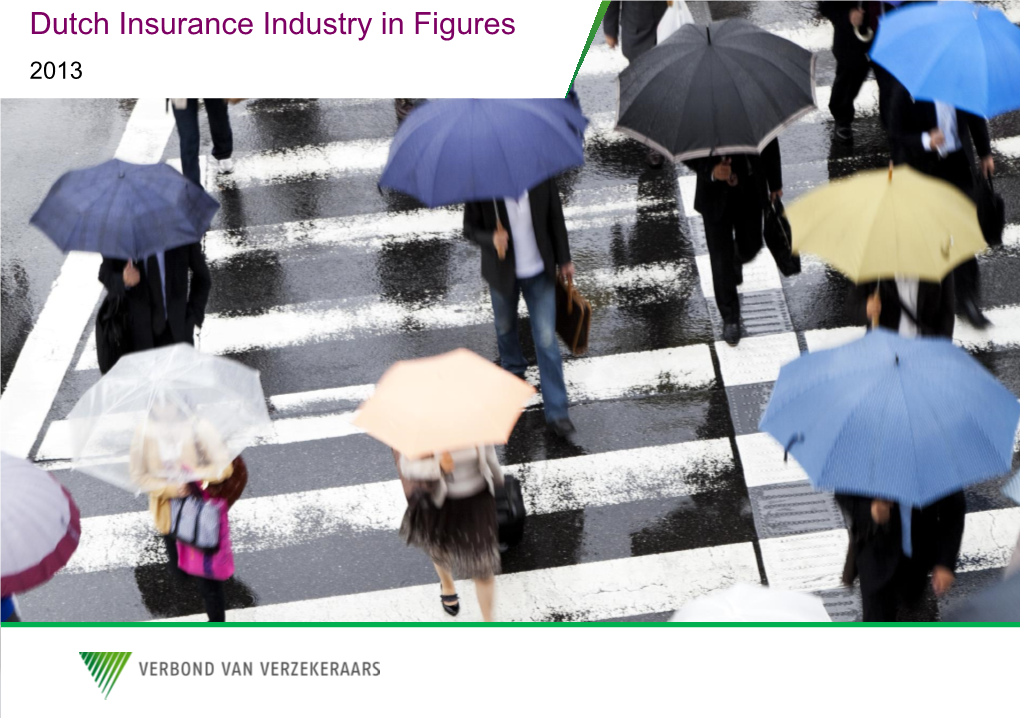 Dutch Insurance Industry in Figures 2013