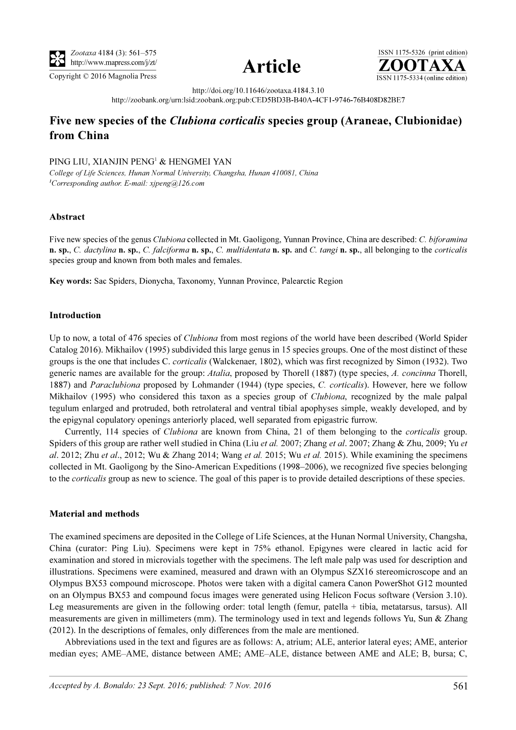 Five New Species of the Clubiona Corticalis Species Group (Araneae, Clubionidae) from China