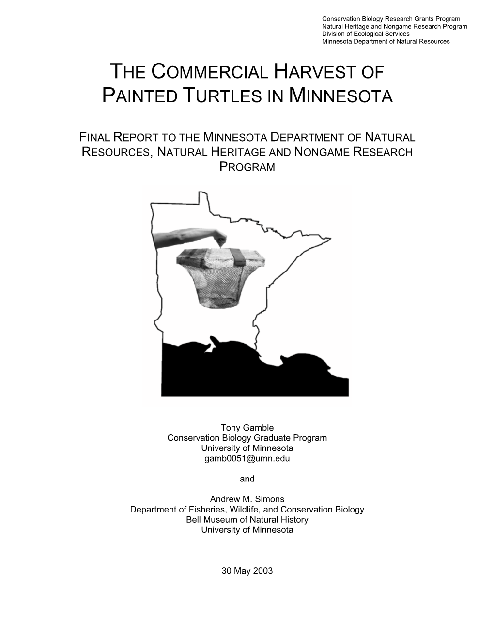 The Commercial Harvest of Painted Turtles in Minnesota