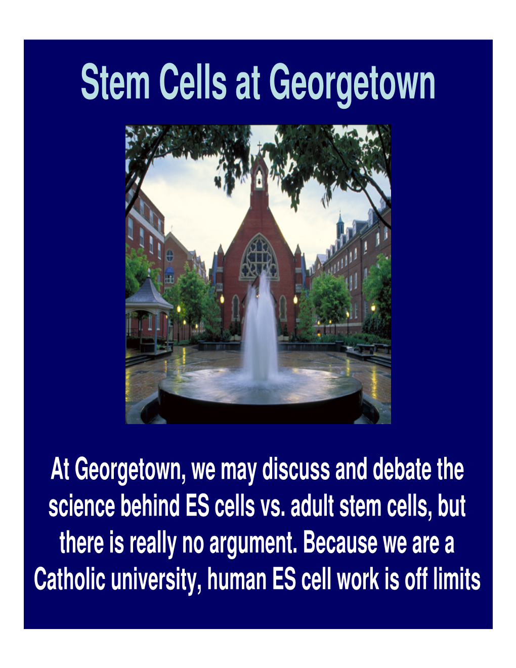 Stem Cells at Georgetown