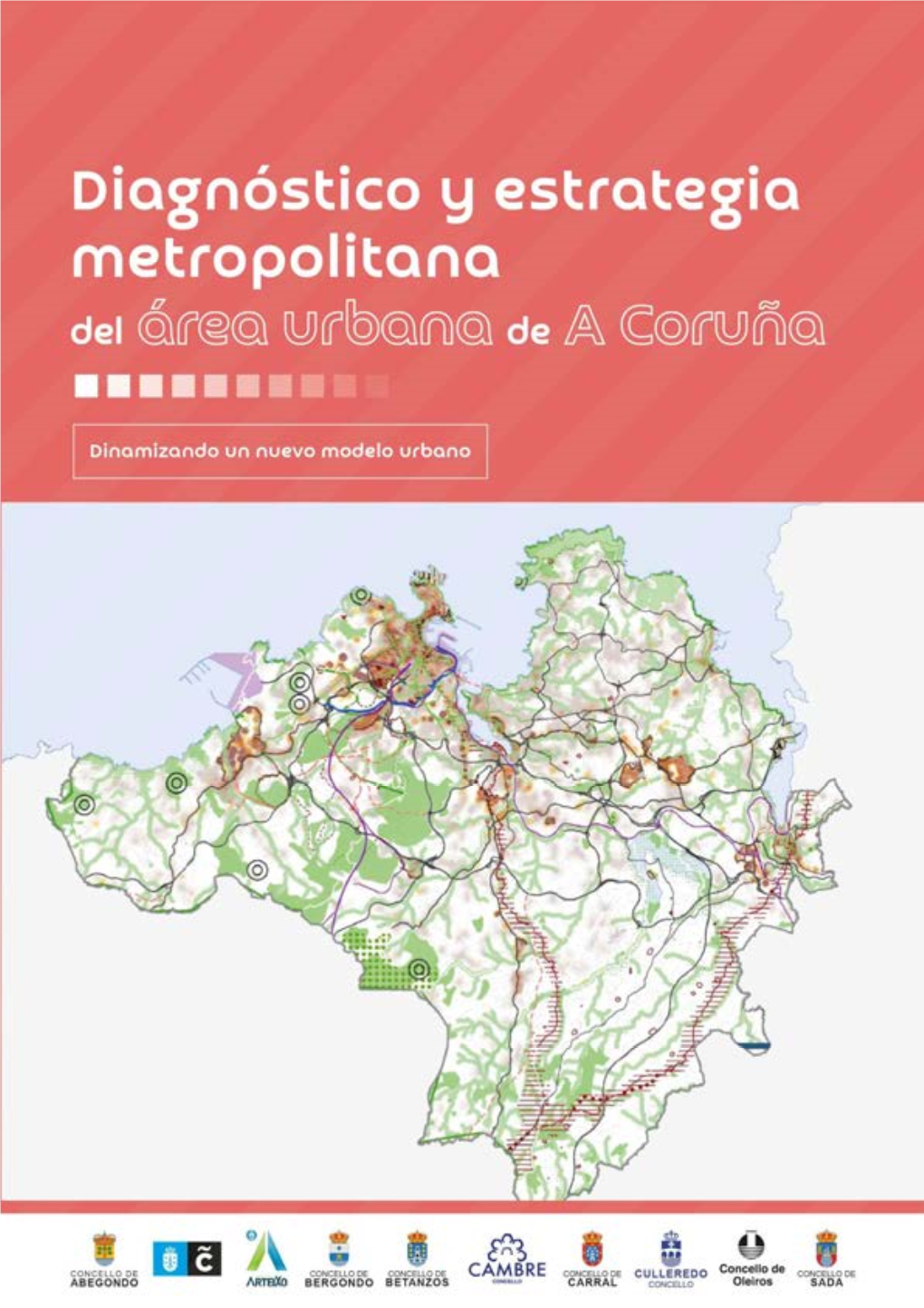 AMAC. Diagnóstico Y Estrategia Metropolitana