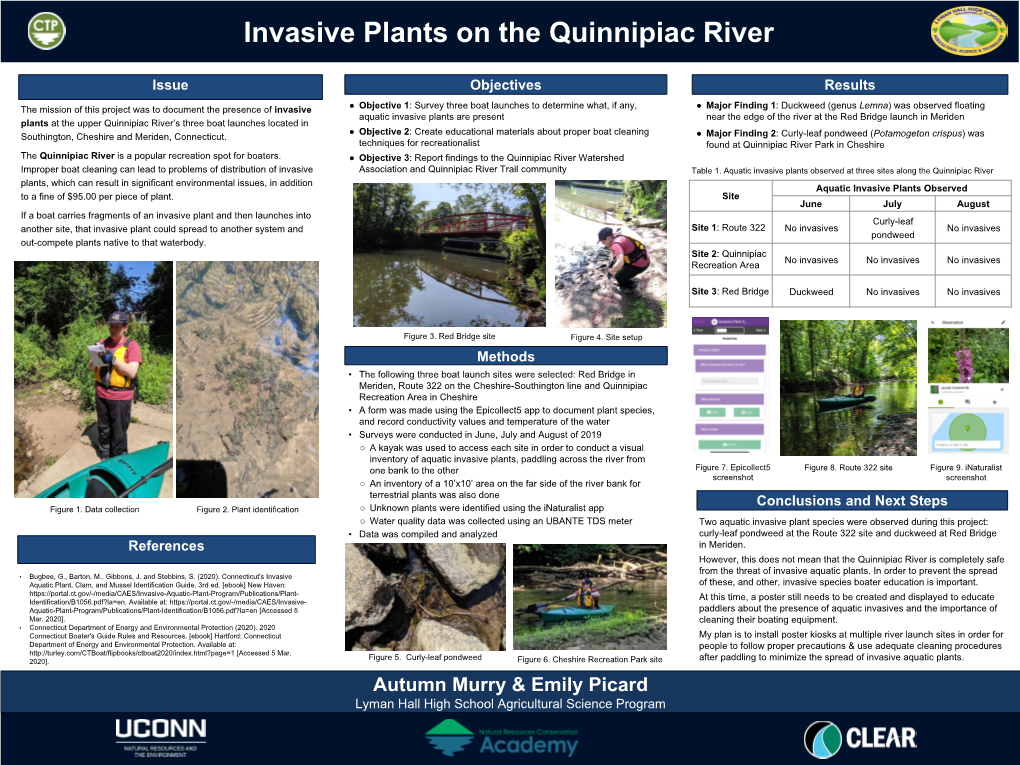 Invasive Plants on the Quinnipiac River