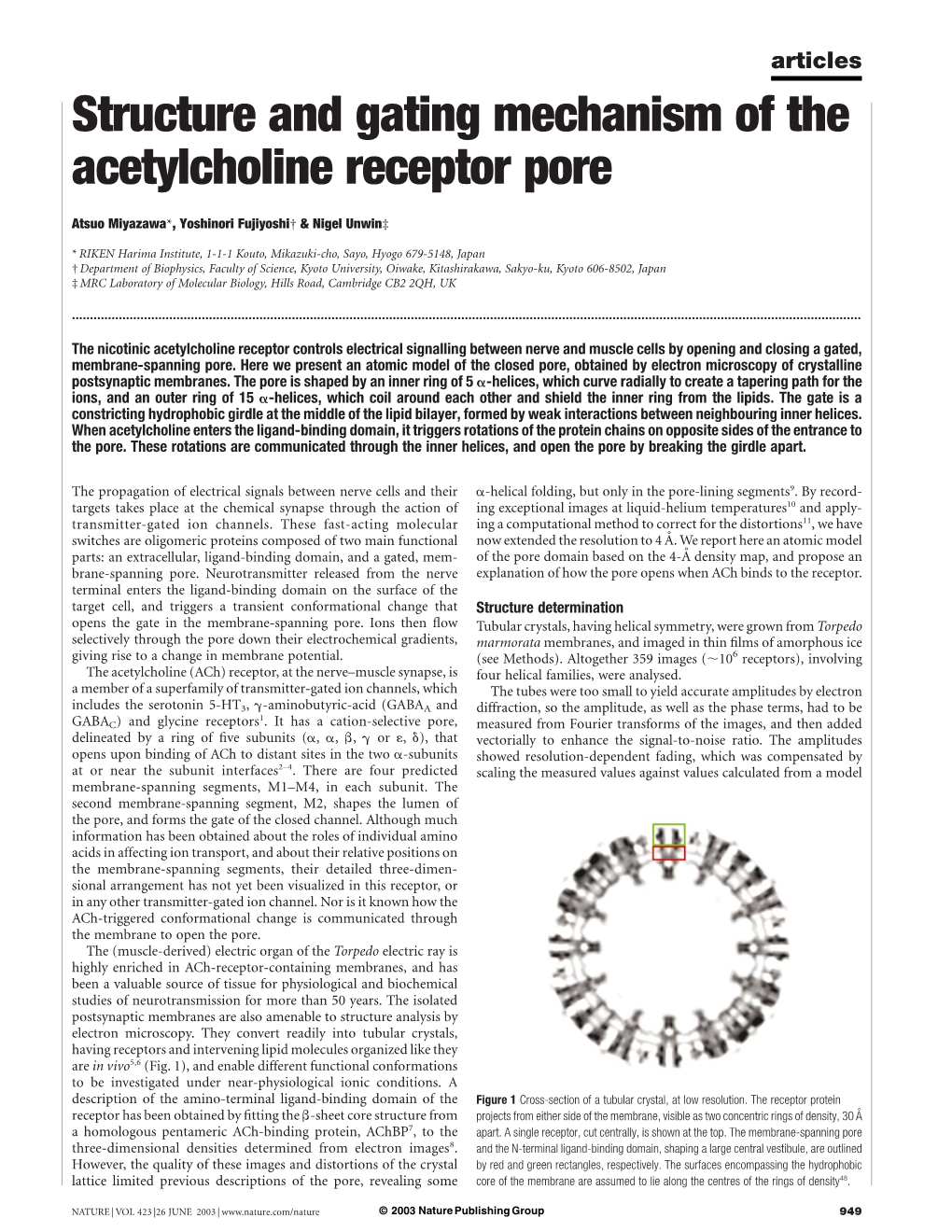 Structure and Gating Mechanism of the Acetylcholine Receptor Pore