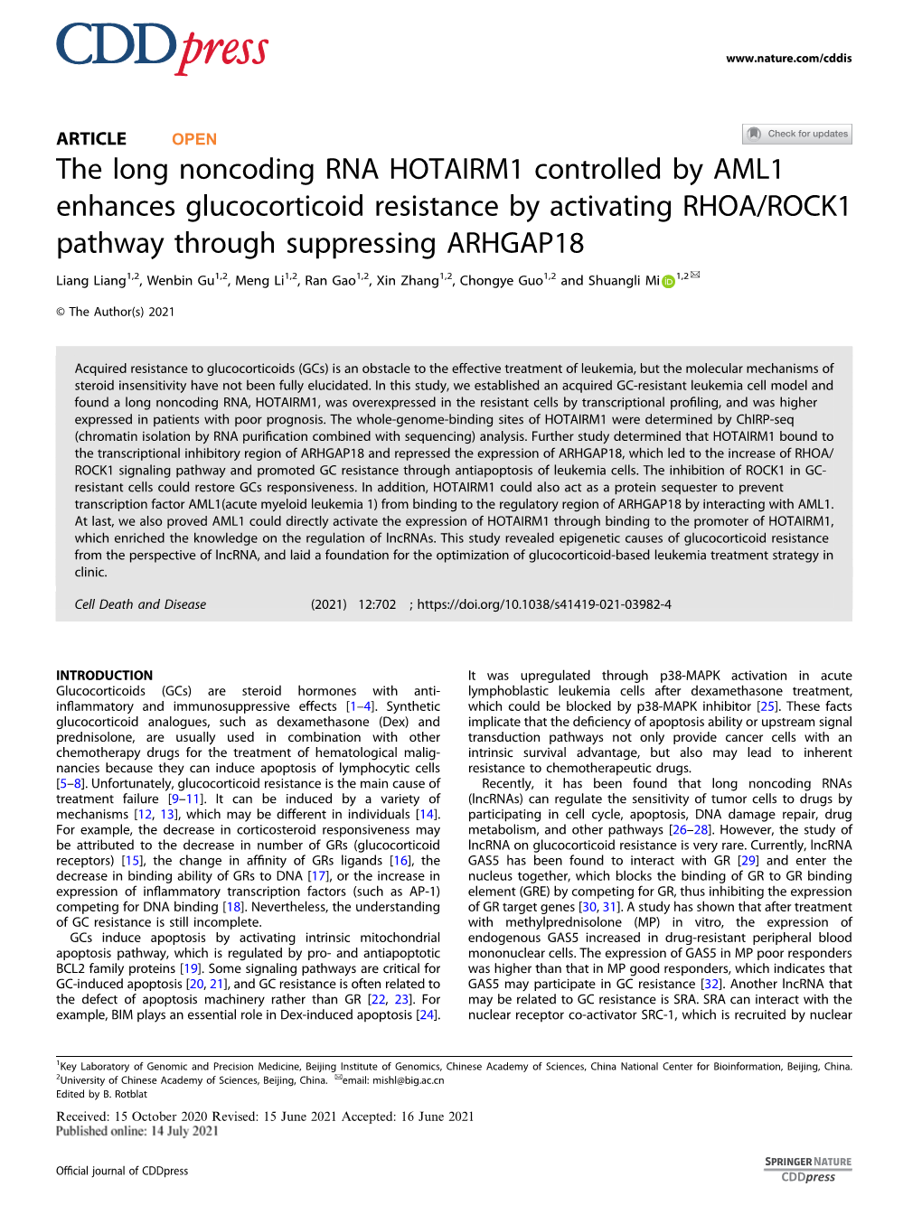 The Long Noncoding RNA HOTAIRM1 Controlled by AML1 Enhances