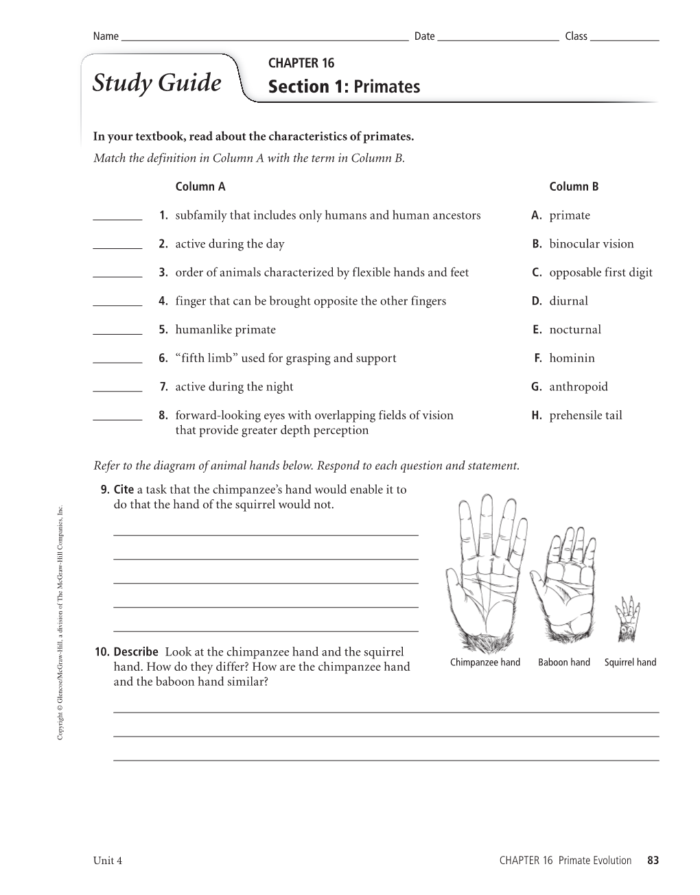 CHAPTER 16 Study Guide Section 1: Primates