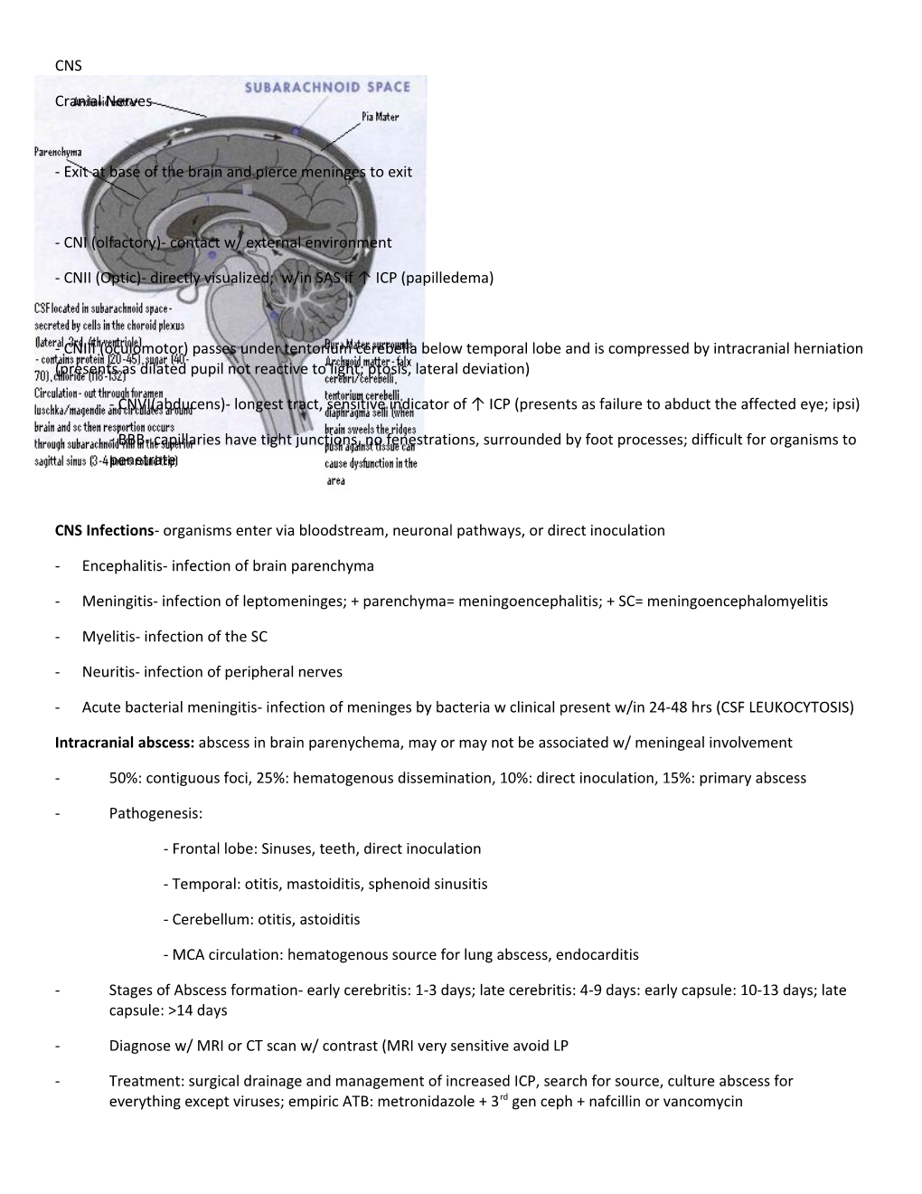 Exit at Base of the Brain and Pierce Meninges to Exit