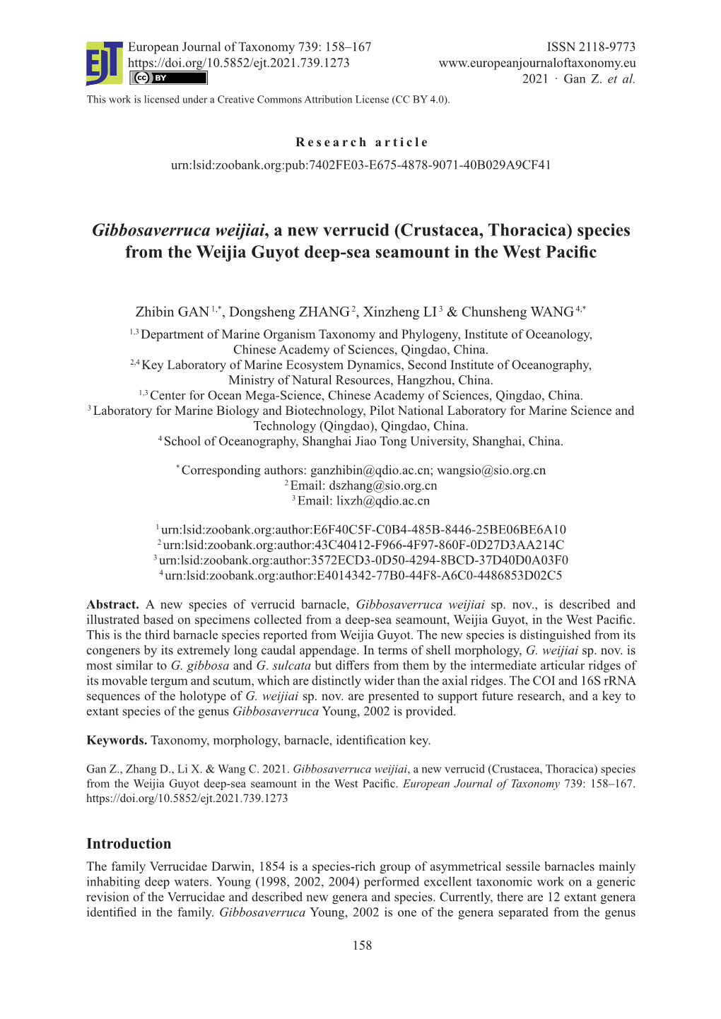 Gibbosaverruca Weijiai, a New Verrucid (Crustacea, Thoracica) Species from the Weijia Guyot Deep-Sea Seamount in the West Paciﬁ C