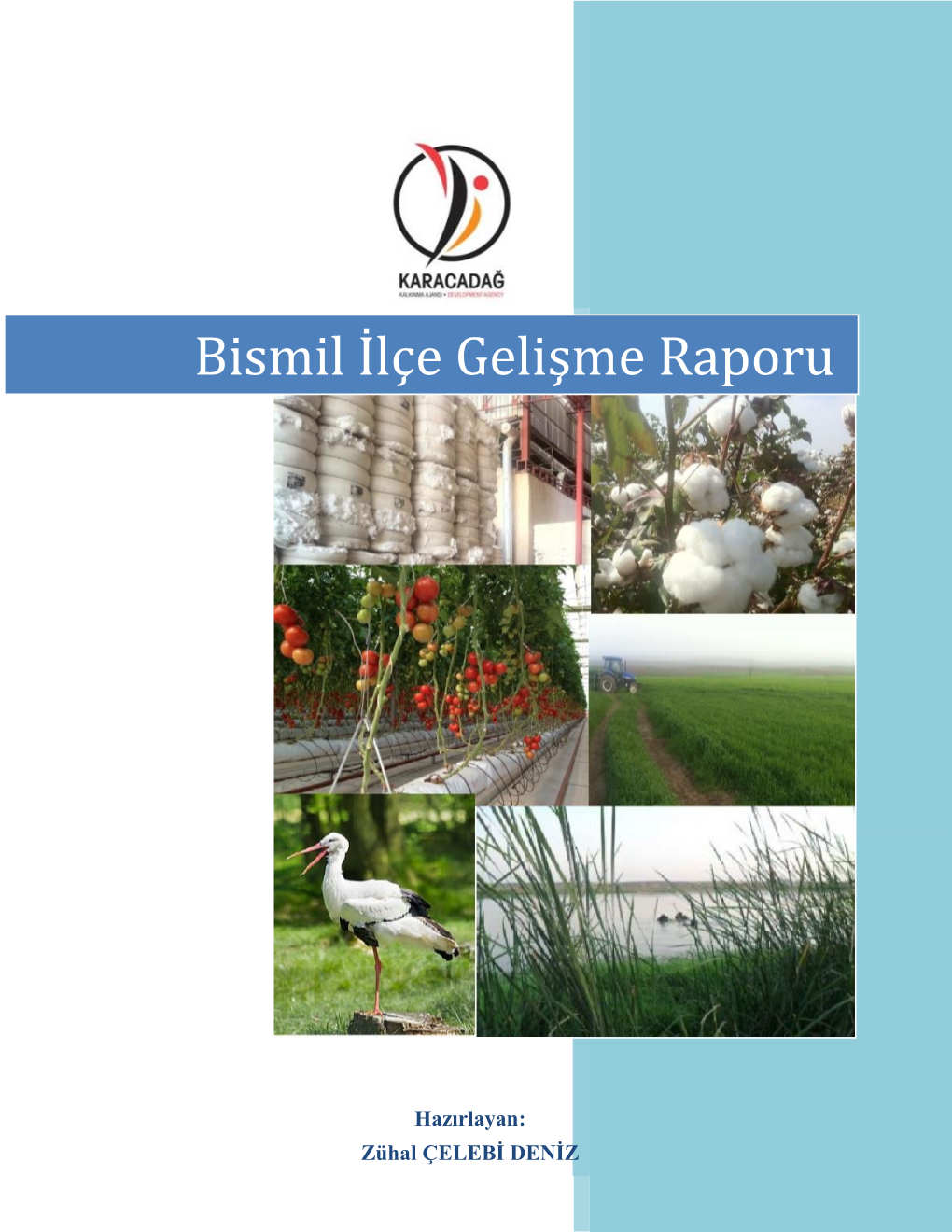 Bismil İlçe Gelişme Raporu