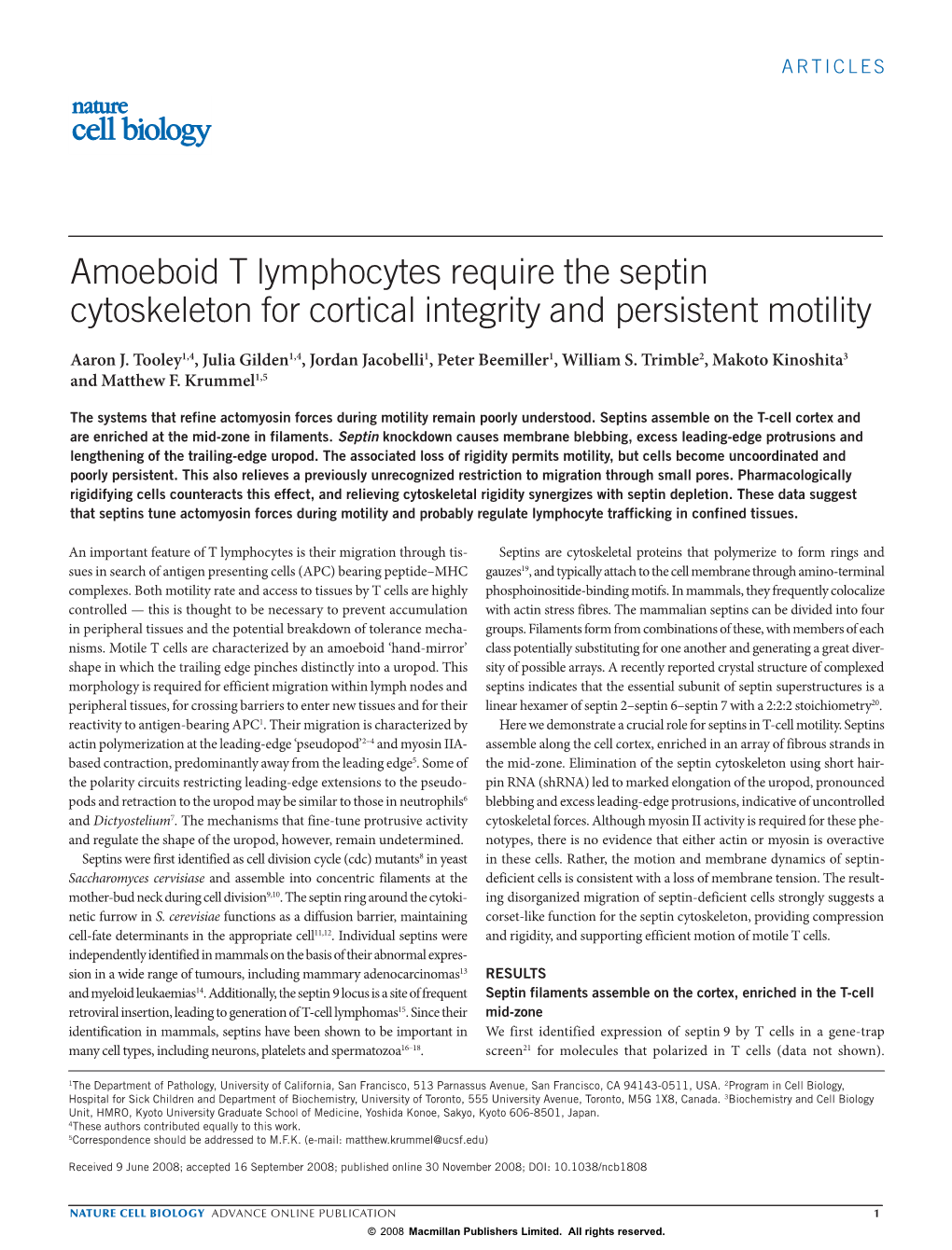 Amoeboid T Lymphocytes Require the Septin Cytoskeleton for Cortical Integrity and Persistent Motility