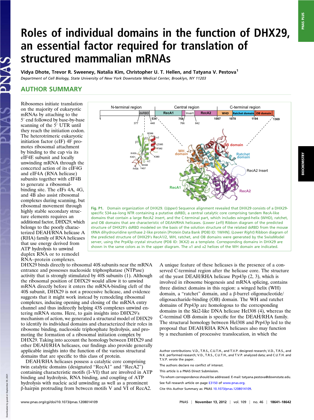 Roles of Individual Domains in the Function of DHX29, an Essential Factor Required for Translation of Structured Mammalian Mrnas