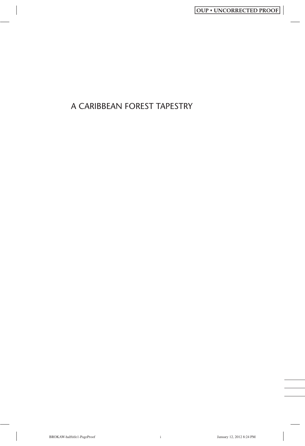 A Caribbean Forest Tapestry