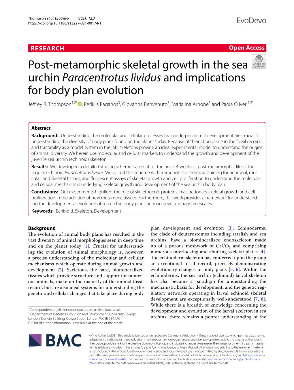 Post-Metamorphic Skeletal Growth in the Sea Urchin Paracentrotus Lividus