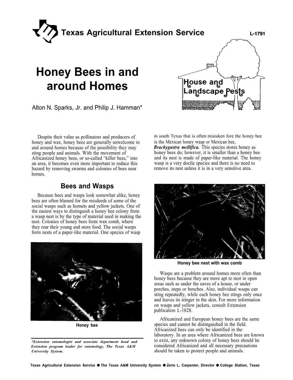 Honey Bees in and Around Homes